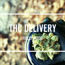 Hollywood THC Delivery