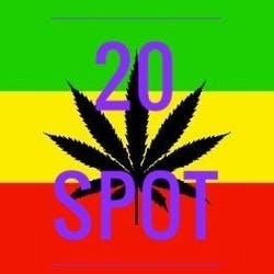 The 20 Spot
